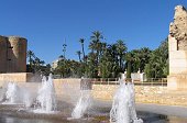 Elche 027